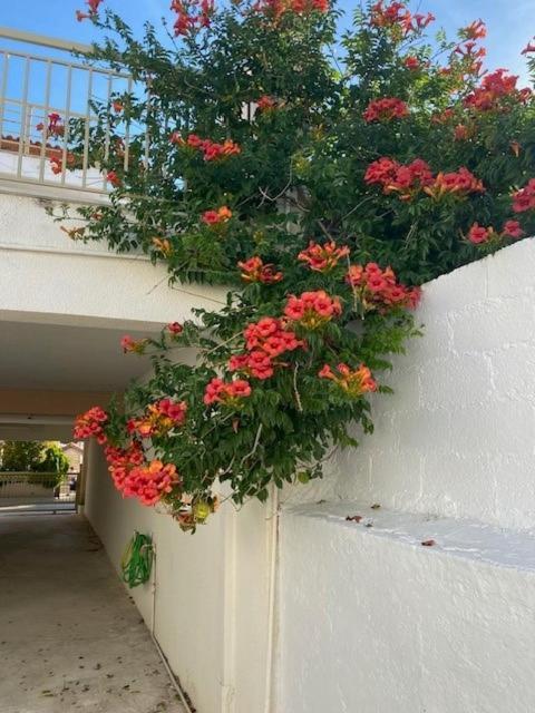 Spata Lykourgos Homes Luaran gambar