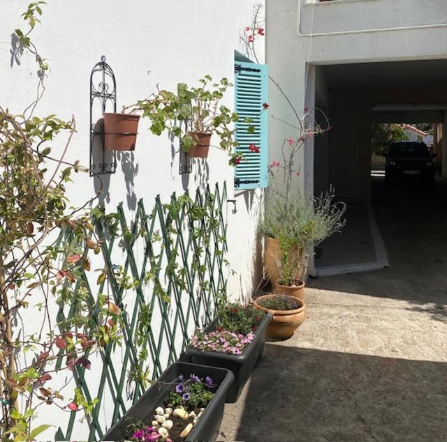 Spata Lykourgos Homes Luaran gambar